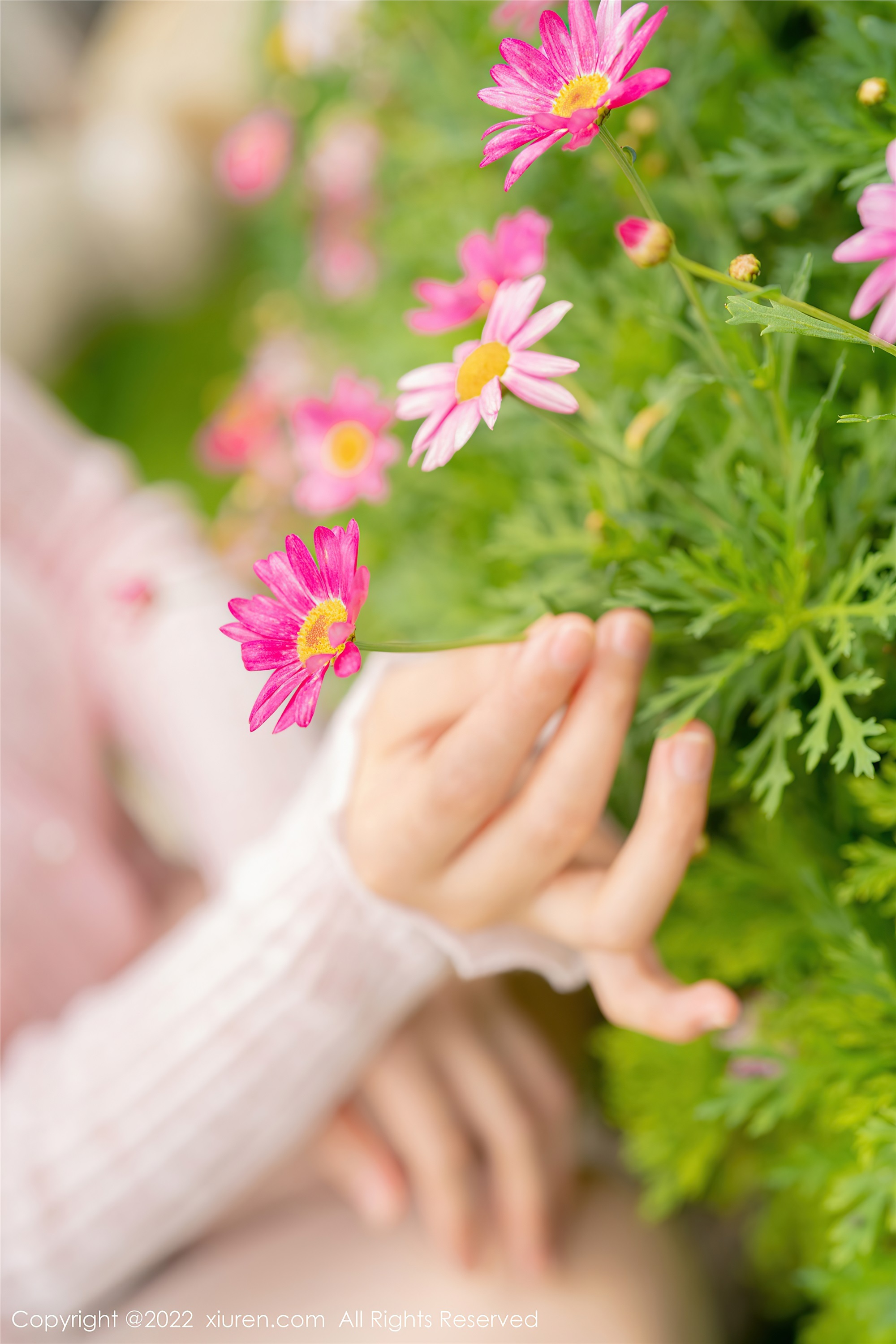 Xiuren秀人网 2022.07.19 NO.5295 朱可儿Flora